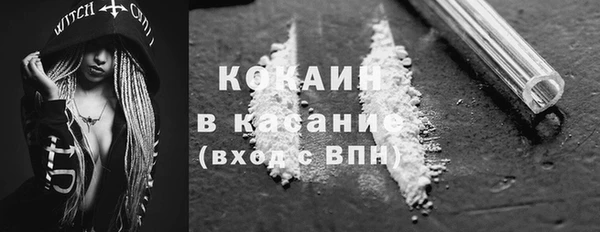 ECSTASY Алзамай