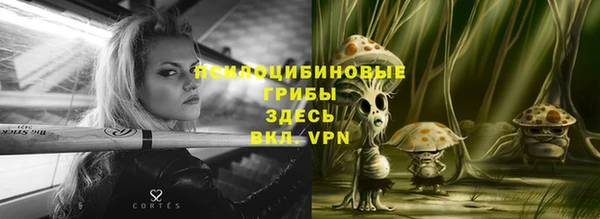 ECSTASY Алзамай