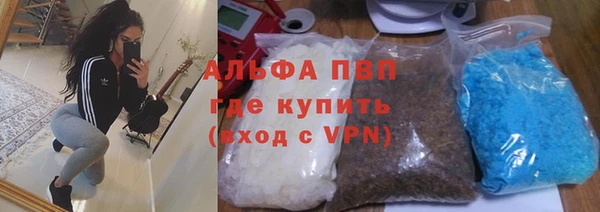 ECSTASY Алзамай