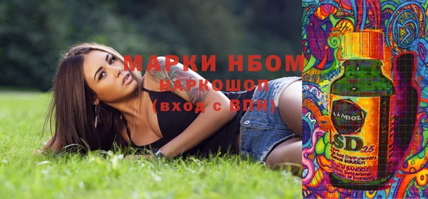 ECSTASY Алзамай