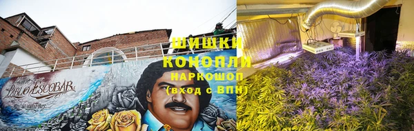 ECSTASY Алзамай